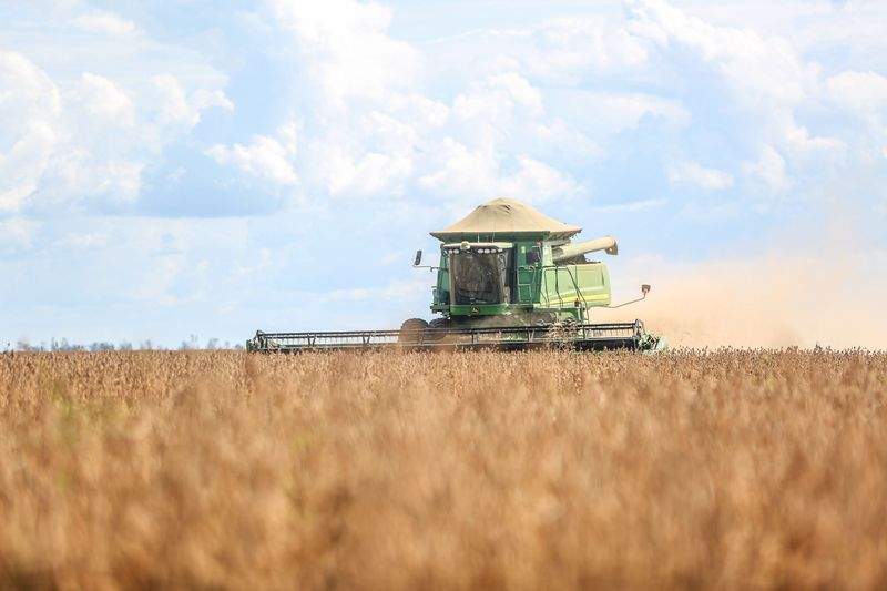 Buenas prácticas para cuidar el suelo en explotaciones agrícolas