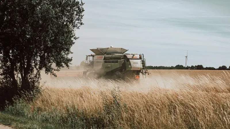 AgroCampos Ibérico 5
