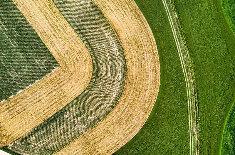 Fertilizantes y productos fitosanitarios