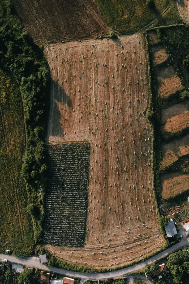 Comercialización y distribución de productos agroalimentarios